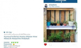 爱草草视频,探索绿色生态，共享自然之美